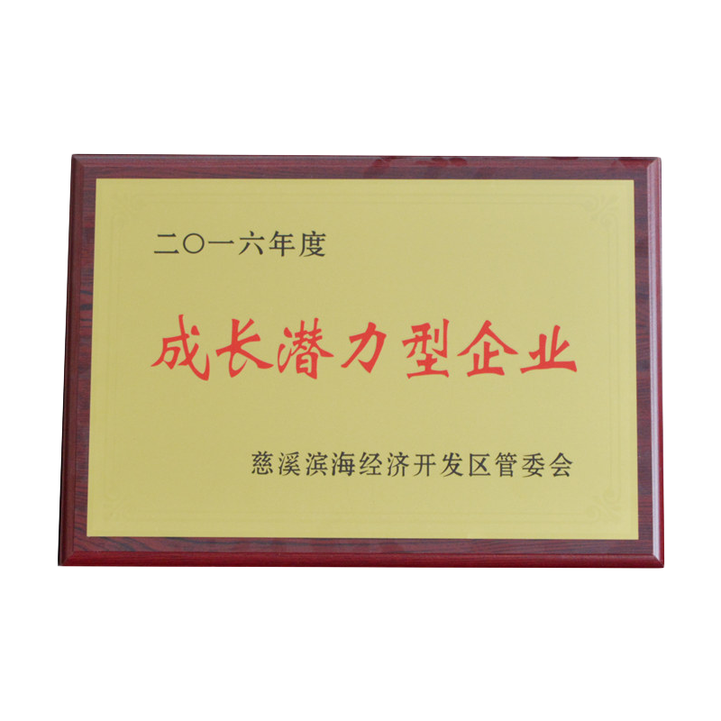 2016年度成长潜力型企业